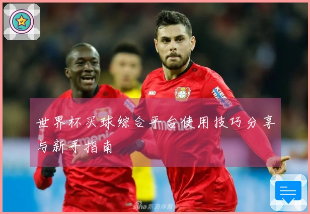 世界杯买球综合平台使用技巧分享与新手指南