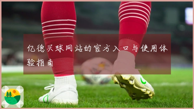 亿德买球网站的官方入口与使用体验指南