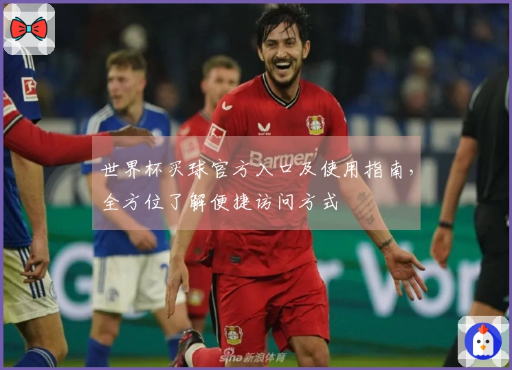 世界杯买球官方入口及使用指南，全方位了解便捷访问方式