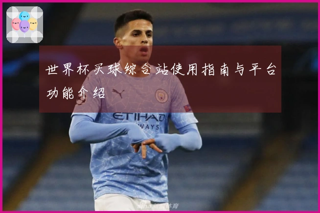 世界杯买球综合站使用指南与平台功能介绍