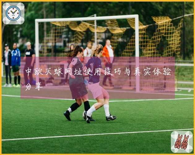 中欧买球网址使用技巧与真实体验分享