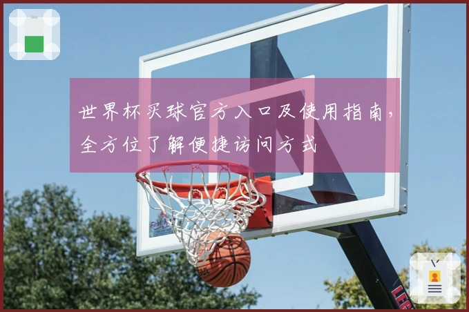 世界杯买球官方入口及使用指南，全方位了解便捷访问方式
