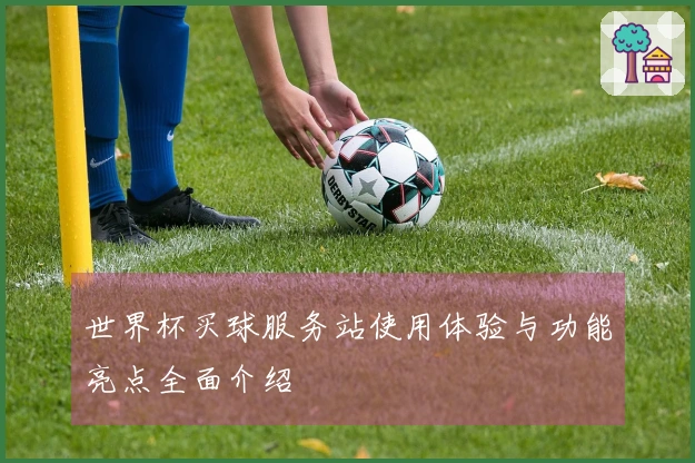 世界杯买球服务站使用体验与功能亮点全面介绍
